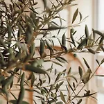 Town - Kleines Privathotel In Bestlage Ξενοδοχείο 3*
