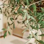 Town - Kleines Privathotel In Bestlage Ξενοδοχείο 3*