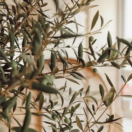 Town - Kleines Privathotel In Bestlage فندق 3*