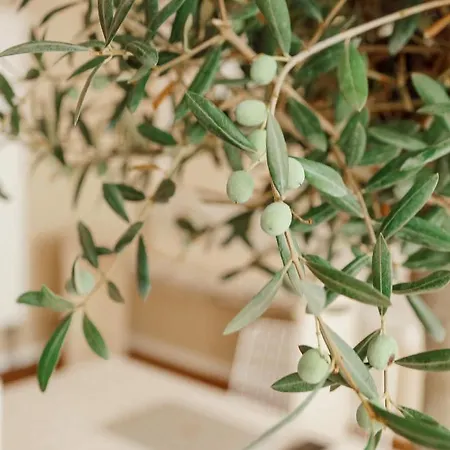 Town - Kleines Privathotel In Bestlage Szálloda 3*