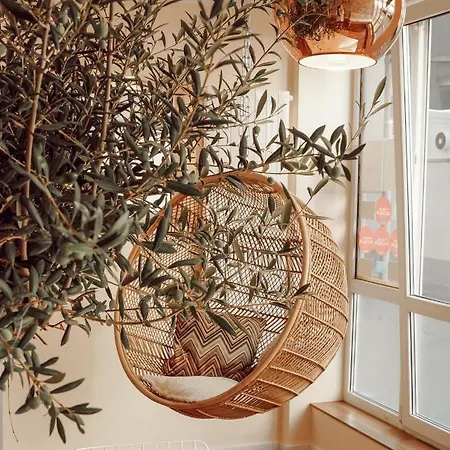 Ξενοδοχείο Town - Kleines Privathotel In Bestlage 3*