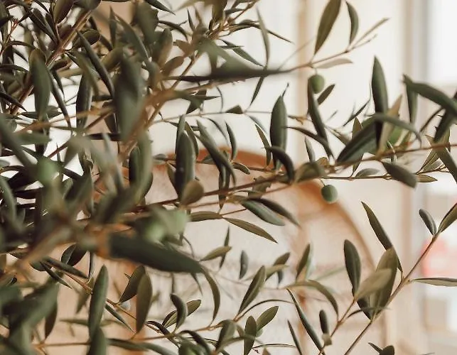 Town - Kleines Privathotel In Bestlage Отель 3*